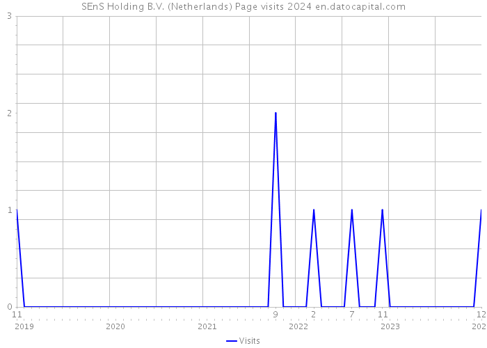 SEnS Holding B.V. (Netherlands) Page visits 2024 
