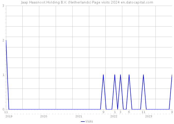 Jaap Haasnoot Holding B.V. (Netherlands) Page visits 2024 