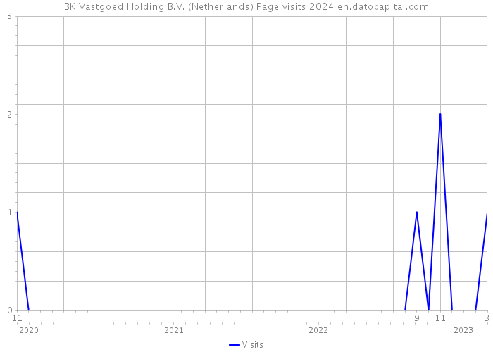 BK Vastgoed Holding B.V. (Netherlands) Page visits 2024 