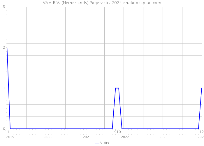 VAM B.V. (Netherlands) Page visits 2024 