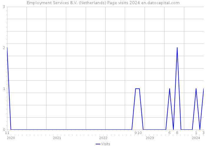 Employment Services B.V. (Netherlands) Page visits 2024 