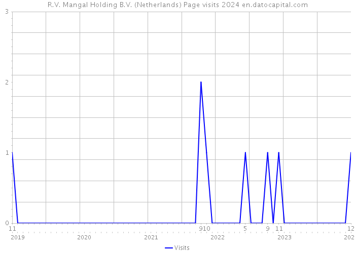 R.V. Mangal Holding B.V. (Netherlands) Page visits 2024 