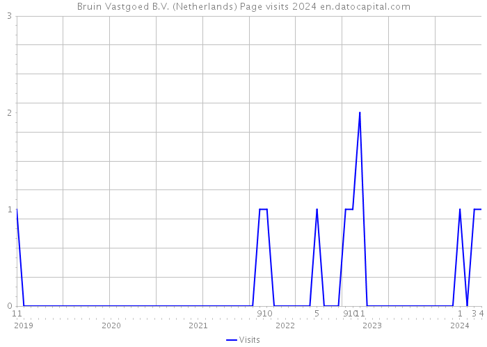 Bruin Vastgoed B.V. (Netherlands) Page visits 2024 