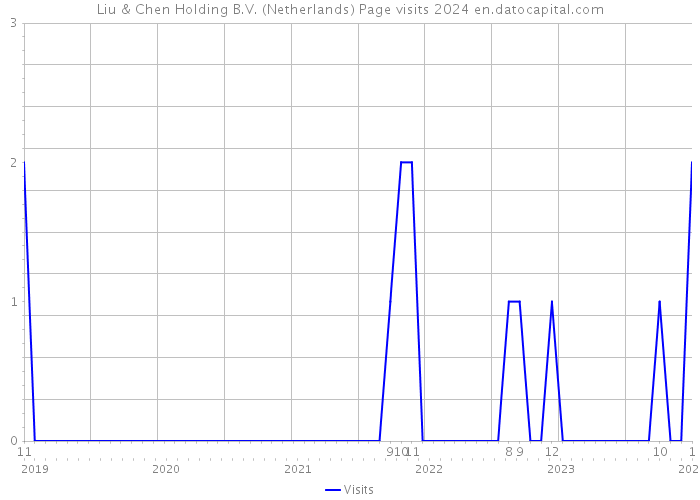 Liu & Chen Holding B.V. (Netherlands) Page visits 2024 