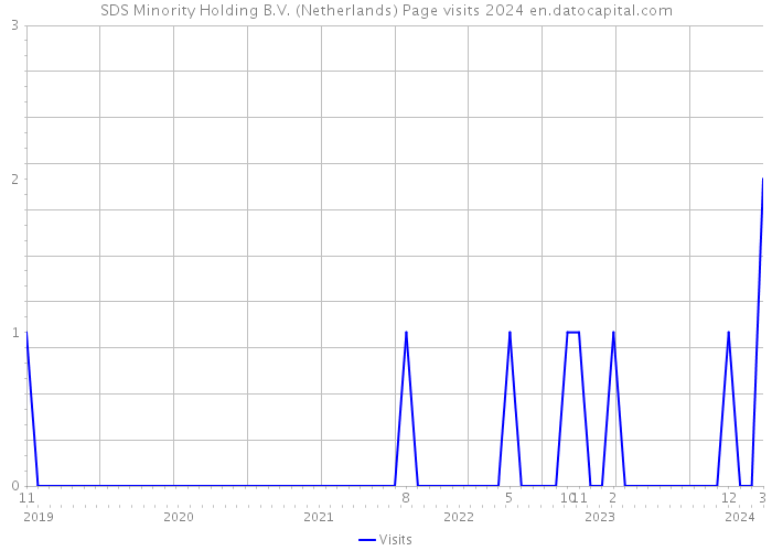 SDS Minority Holding B.V. (Netherlands) Page visits 2024 