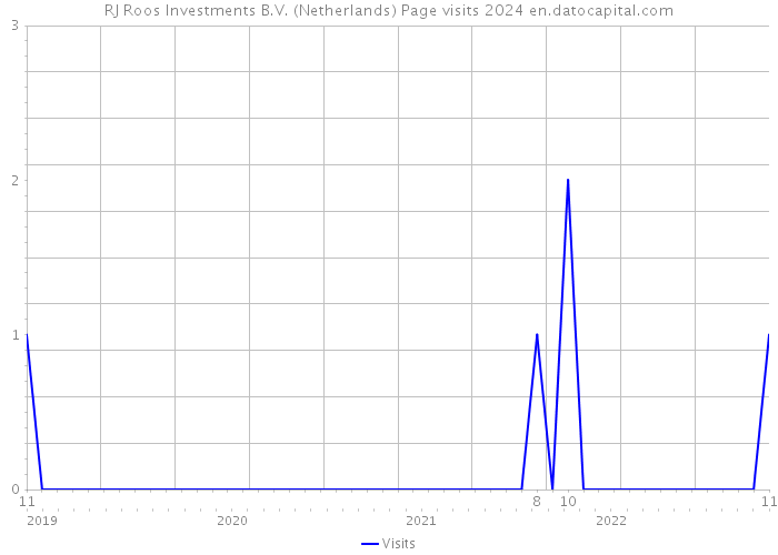 RJ Roos Investments B.V. (Netherlands) Page visits 2024 