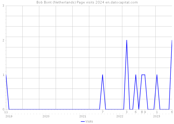 Bob Bont (Netherlands) Page visits 2024 