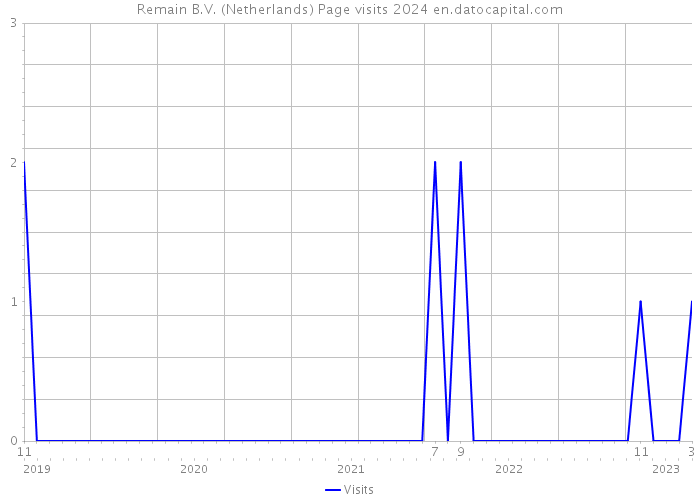 Remain B.V. (Netherlands) Page visits 2024 