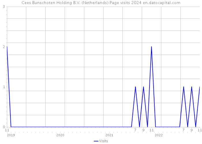 Cees Bunschoten Holding B.V. (Netherlands) Page visits 2024 