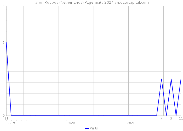 Jaron Roubos (Netherlands) Page visits 2024 