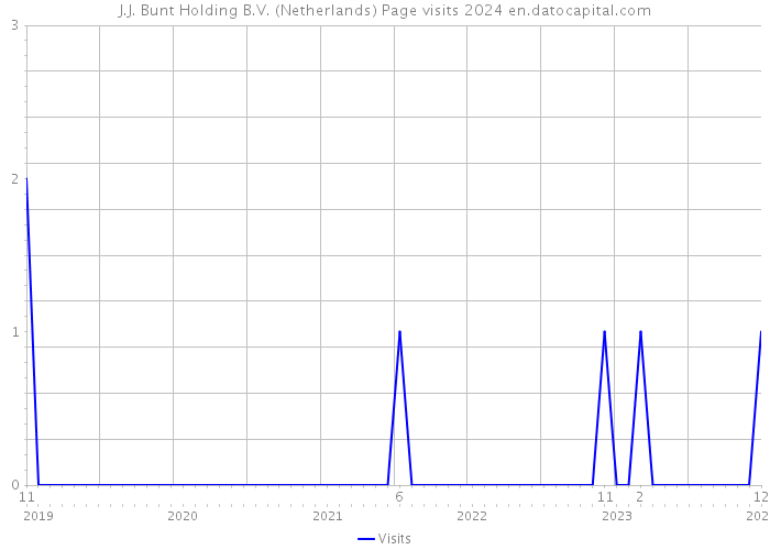J.J. Bunt Holding B.V. (Netherlands) Page visits 2024 