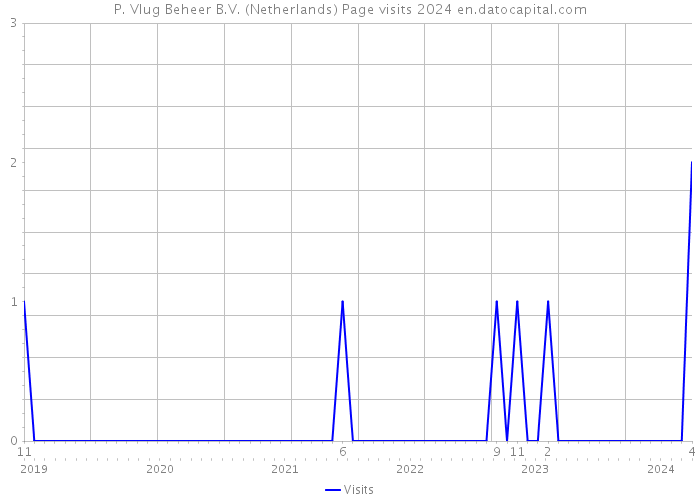 P. Vlug Beheer B.V. (Netherlands) Page visits 2024 