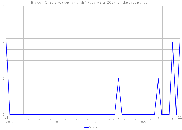 Brekon Gilze B.V. (Netherlands) Page visits 2024 