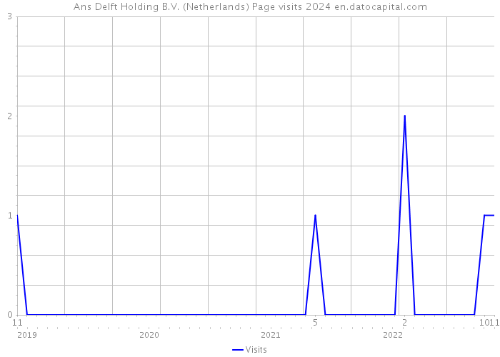 Ans Delft Holding B.V. (Netherlands) Page visits 2024 