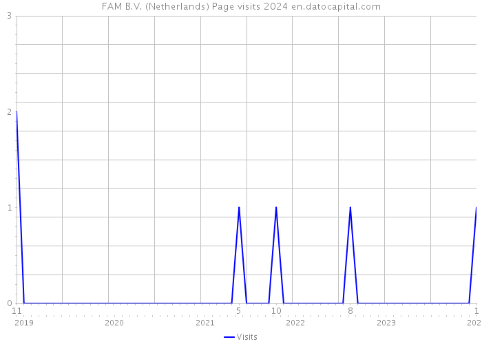 FAM B.V. (Netherlands) Page visits 2024 
