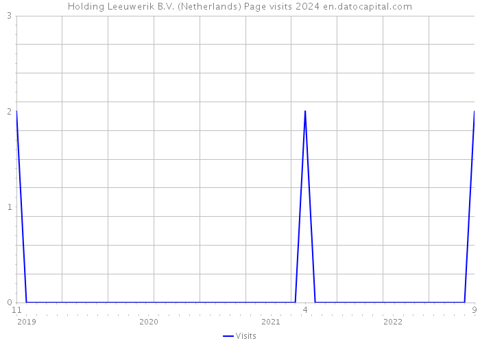 Holding Leeuwerik B.V. (Netherlands) Page visits 2024 