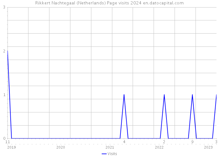 Rikkert Nachtegaal (Netherlands) Page visits 2024 