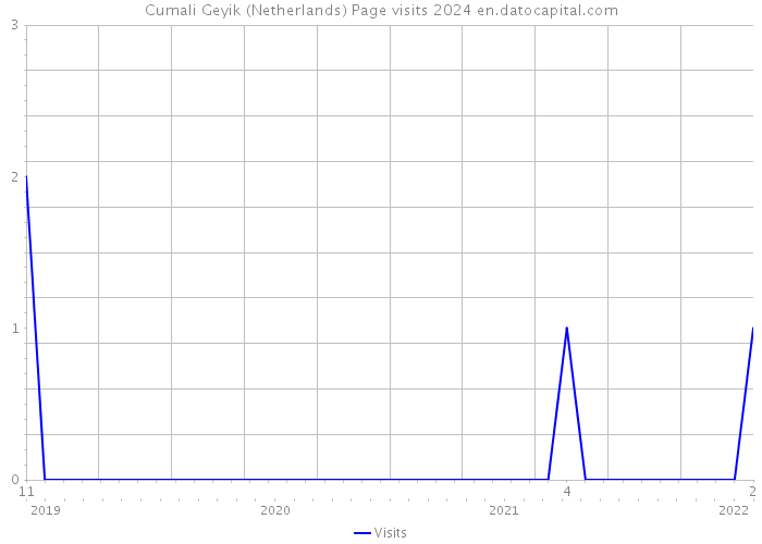 Cumali Geyik (Netherlands) Page visits 2024 