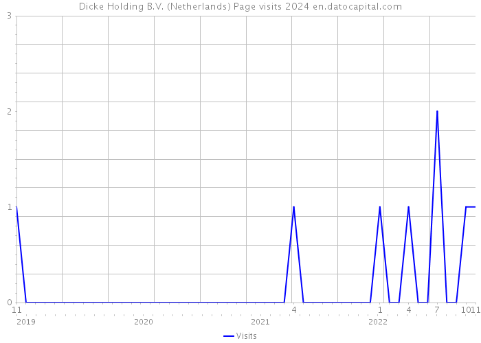 Dicke Holding B.V. (Netherlands) Page visits 2024 