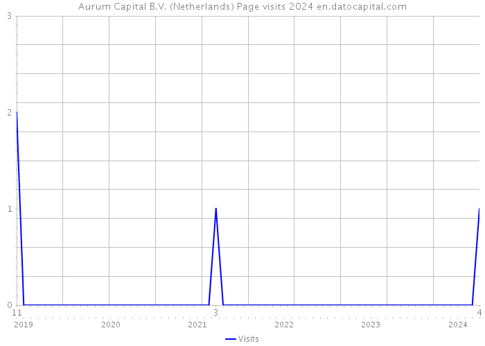 Aurum Capital B.V. (Netherlands) Page visits 2024 