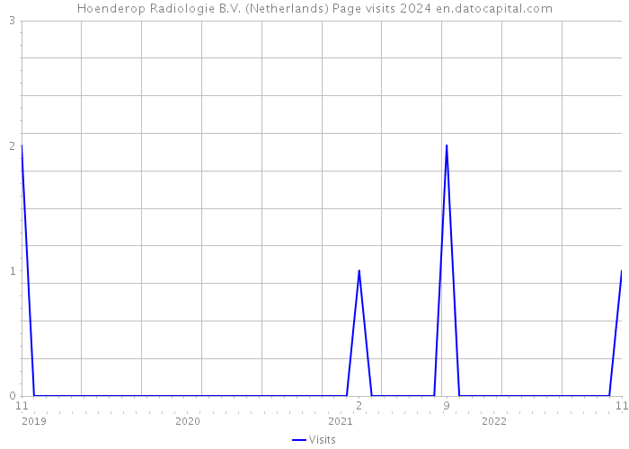Hoenderop Radiologie B.V. (Netherlands) Page visits 2024 