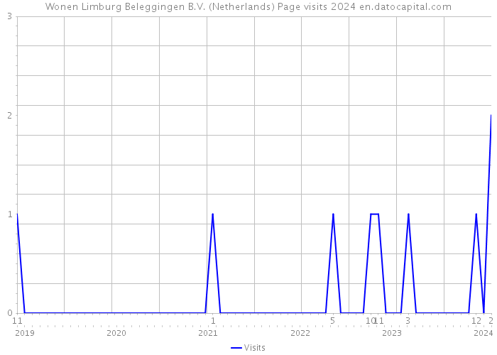 Wonen Limburg Beleggingen B.V. (Netherlands) Page visits 2024 