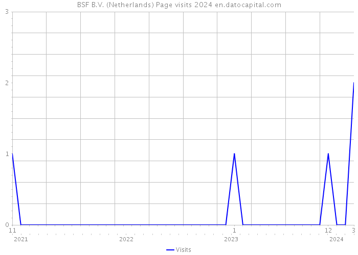 BSF B.V. (Netherlands) Page visits 2024 