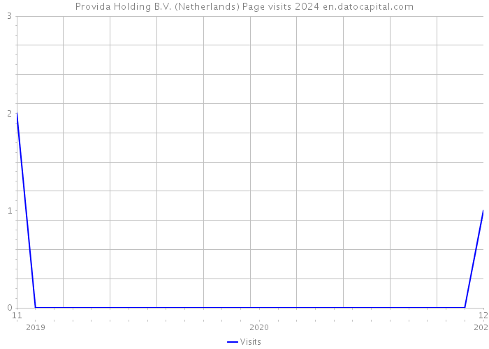 Provida Holding B.V. (Netherlands) Page visits 2024 
