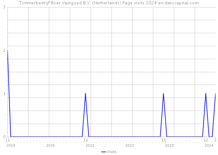 Timmerbedrijf Boer Vastgoed B.V. (Netherlands) Page visits 2024 