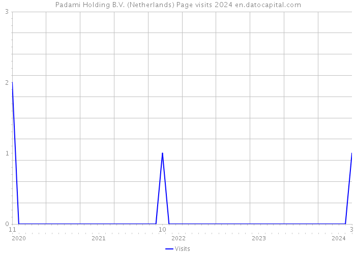 Padami Holding B.V. (Netherlands) Page visits 2024 