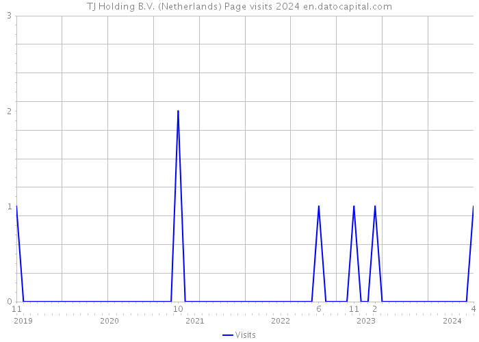 TJ Holding B.V. (Netherlands) Page visits 2024 