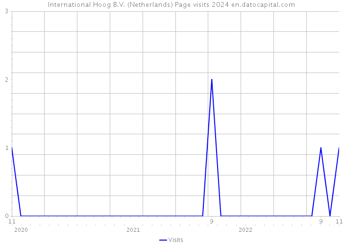 International Hoog B.V. (Netherlands) Page visits 2024 