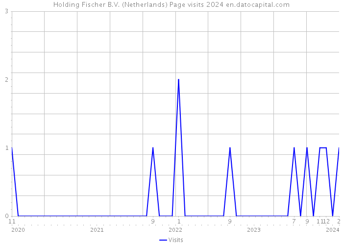 Holding Fischer B.V. (Netherlands) Page visits 2024 