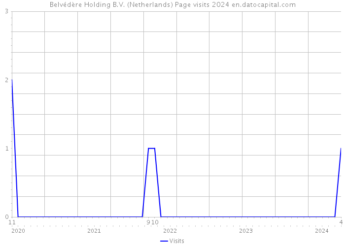 Belvédère Holding B.V. (Netherlands) Page visits 2024 
