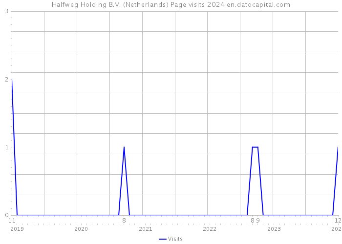 Halfweg Holding B.V. (Netherlands) Page visits 2024 