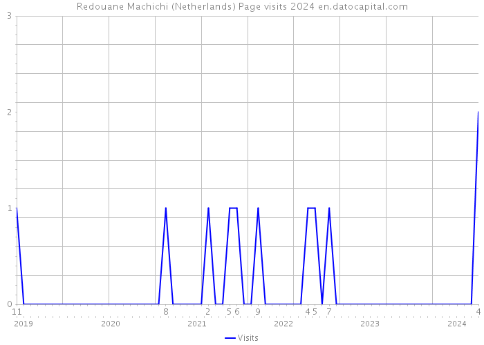 Redouane Machichi (Netherlands) Page visits 2024 