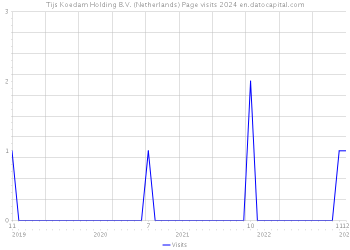 Tijs Koedam Holding B.V. (Netherlands) Page visits 2024 