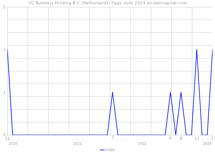 VG Business Holding B.V. (Netherlands) Page visits 2024 