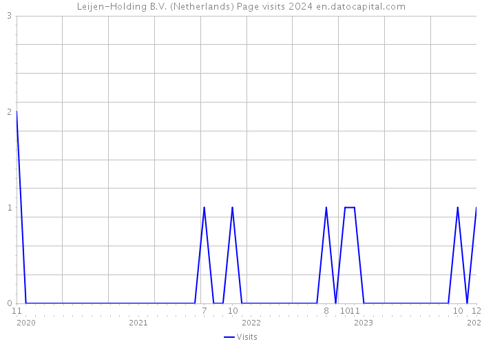 Leijen-Holding B.V. (Netherlands) Page visits 2024 