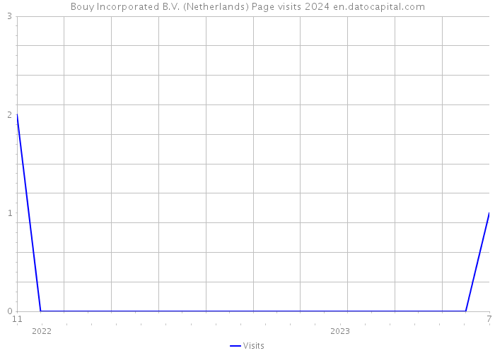Bouy Incorporated B.V. (Netherlands) Page visits 2024 