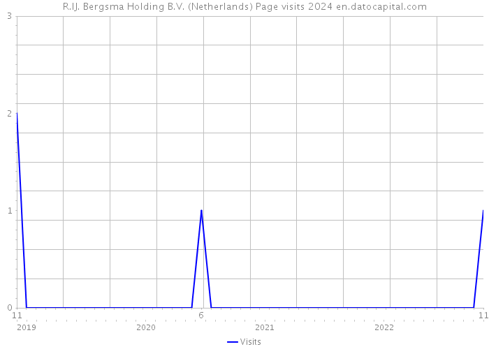 R.IJ. Bergsma Holding B.V. (Netherlands) Page visits 2024 