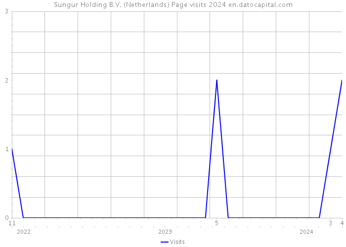 Sungur Holding B.V. (Netherlands) Page visits 2024 