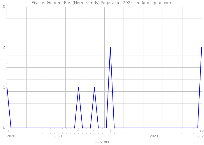 Fischer Holding B.V. (Netherlands) Page visits 2024 