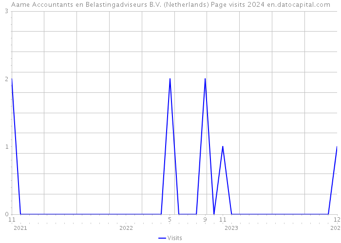 Aame Accountants en Belastingadviseurs B.V. (Netherlands) Page visits 2024 