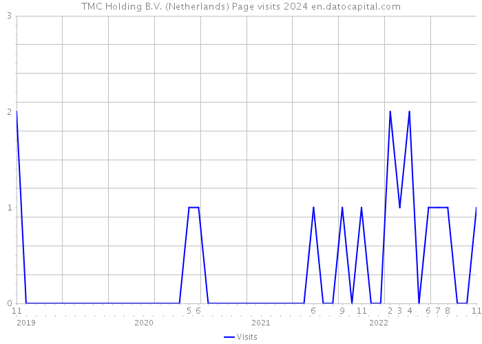 TMC Holding B.V. (Netherlands) Page visits 2024 