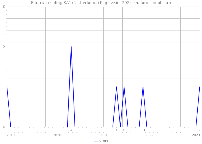 Bontrup trading B.V. (Netherlands) Page visits 2024 