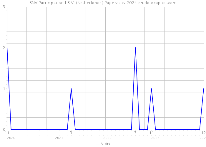 BNV Participation I B.V. (Netherlands) Page visits 2024 