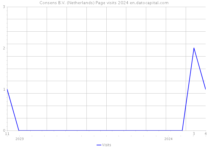 Consens B.V. (Netherlands) Page visits 2024 