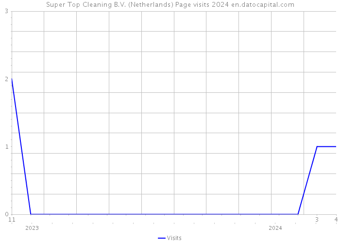Super Top Cleaning B.V. (Netherlands) Page visits 2024 