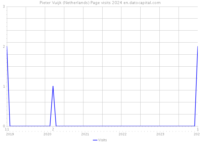 Pieter Vuijk (Netherlands) Page visits 2024 